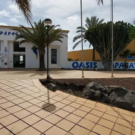 Vista Palmera Oasis Papagayo