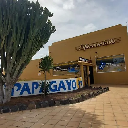 Vista Palmera Oasis Papagayo