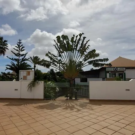 Vista Palmera Oasis Papagayo Corralejo