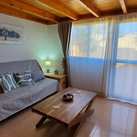 Vista Palmera Oasis Papagayo Corralejo