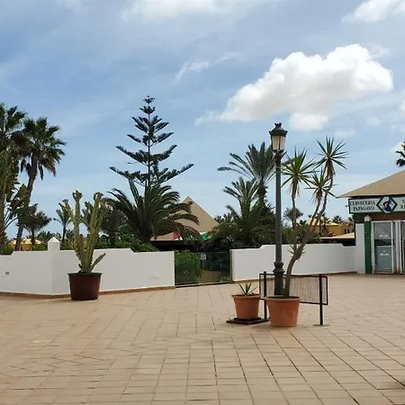 Vista Palmera Oasis Papagayo Corralejo